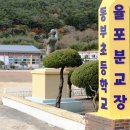동부초율포분교 이미지
