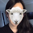 하랑미장원