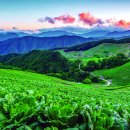 초록 태양광발전소 이미지