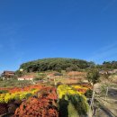 딴뚝통나무집식당 이미지