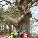 섬과 하루 이미지