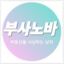 부사노바 이미지