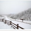 한들목장 이미지