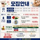 어린이 도예 네이버블로그
