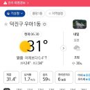 어린이대공원 제10호 | casanier