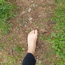 뽀빠이포토영사진관 | 2024.5.28.(화) 감사-교권침해사건, 고창영사진관 여권사진, 결혼기념일, 미트랑 소고기