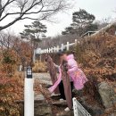 강화씨사이드힐 메이플에서 내츄럴캠프 에어매트 사용 솔직후기