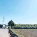 성남공항공인중개사사무소 이미지