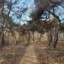 한 바퀴 돌고 세라젬 웰 카페 전주 효자 직영점 체험 후기, 스마트한 의료가전 Master V4와 파우제 가격