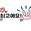 살구나무집칼국수