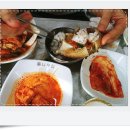 백년정성