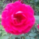 살미농장 이미지