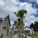 코코호텔 이미지