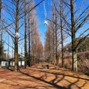 담양송죽헌 이미지