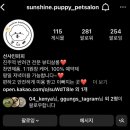 선샤인퍼피 이미지