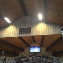 영찬농장 | 뉴질랜드 일기 3-22