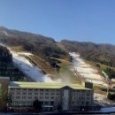 휘닉스파크 렌탈샵 조이몬스터 이미지