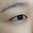 래쉬허 | 산본속눈썹펌 래쉬허 뷰러펌 LC컬 속펌 후기