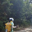 송이섬펜션 이미지