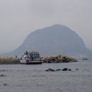 중경당약국 Daum카페