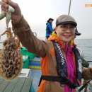 포인트피싱