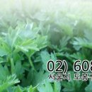 프린아트