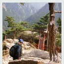 종석농장 이미지