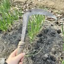 더리터 남원시청점 이미지