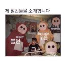 라쯔이쯔이 | 스프는 샐러드로 바꾸고 텐더추가