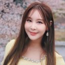 면화재배 이미지