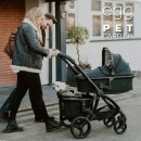 #DOG | [31주] 임신 중기는 행복이었다 🫶🏻 - 임당검사 PASS, 인생 최초로 60키로를 찍음