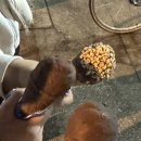 제이네집 이미지