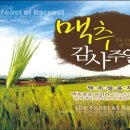 맥추 감사절의 현대적 의미 이미지