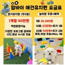 보고유치원 | 부산애견유치원, 담임 선생님 제도 소수정예반 1년 등원 후기