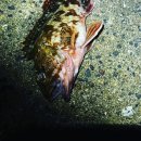 24시낚시프라자