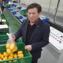 벽진농협 APC 이미지