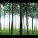옛날은 가고 없어도 - 최현수 바리톤 1992 (이호섭 곡/손승교 시) 이미지