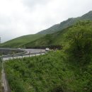 도천목장 Daum카페
