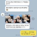 후스독 이미지
