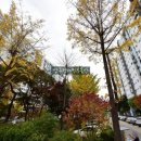 압구정-205 이미지