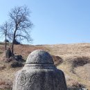 남원 실상사 승탑 | 남원 실상사 자운대화상탑