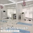 요가&필라테스Ⅱ | [서울] 용산 프라이빗 바레 | 하늘민 플라잉요가&amp;바레 : 원데이클래스 후기