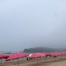 세븐일레븐(신도점) | 아기랑 물놀이,모래놀이하기 좋은 왕산해수욕장 유료주차장,파라솔대여,샤워장 이용하고 온 후기!