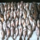 감천2동-10 이미지