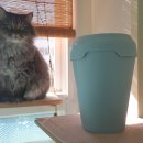 배변의기술 | 데오큐브캣 고양이배변쓰레기통 후기|냄새 ZERO·소모품 부담↓