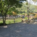 들살이오토캠핑장 이미지