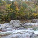 🌿 설악산 4암자길 산행기 (2025년 10월 21일 화요일) 이미지