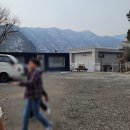 아이플러스 펜션 | [공지] 가평 미라몬티 단체 풀빌라펜션 1박 후기