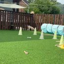 베일리펜션 이미지