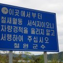 대위리-양지리 Daum카페